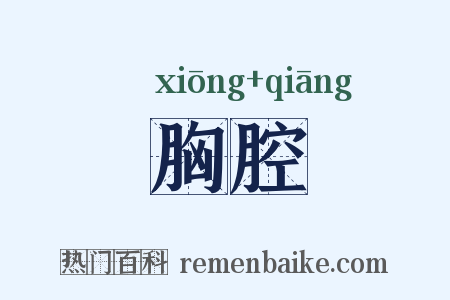 胸腔是什么意思的图片
